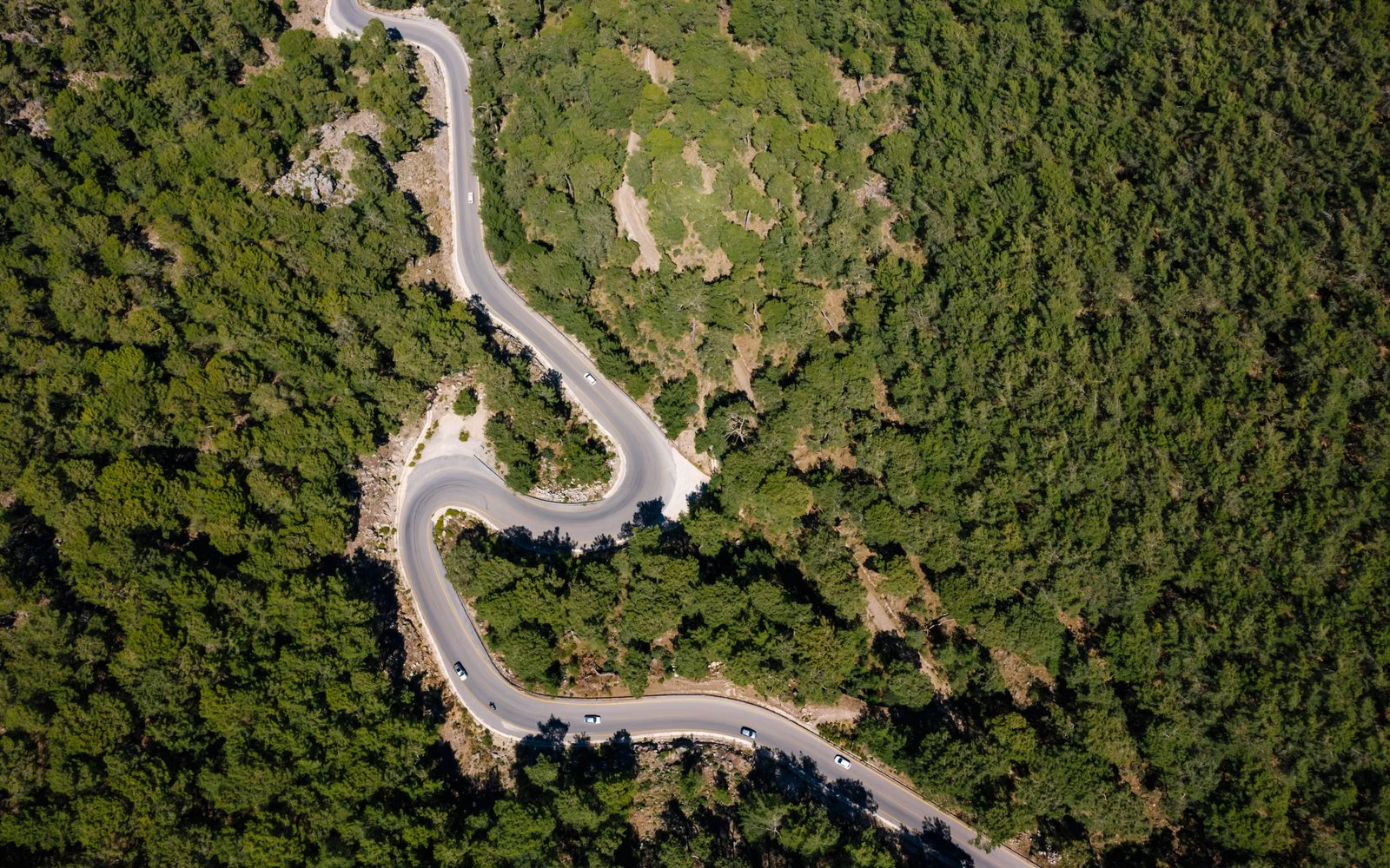 Kurvige Straße, die sich von oben gesehen durch dichten Wald schlängelt