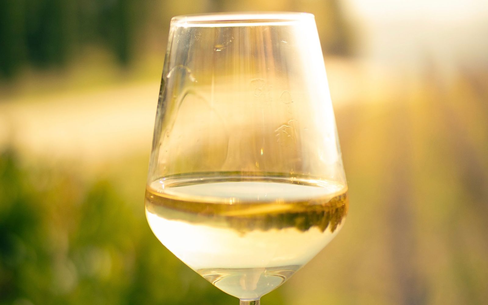 Glas Weißwein vor sonnigen Weinbergen